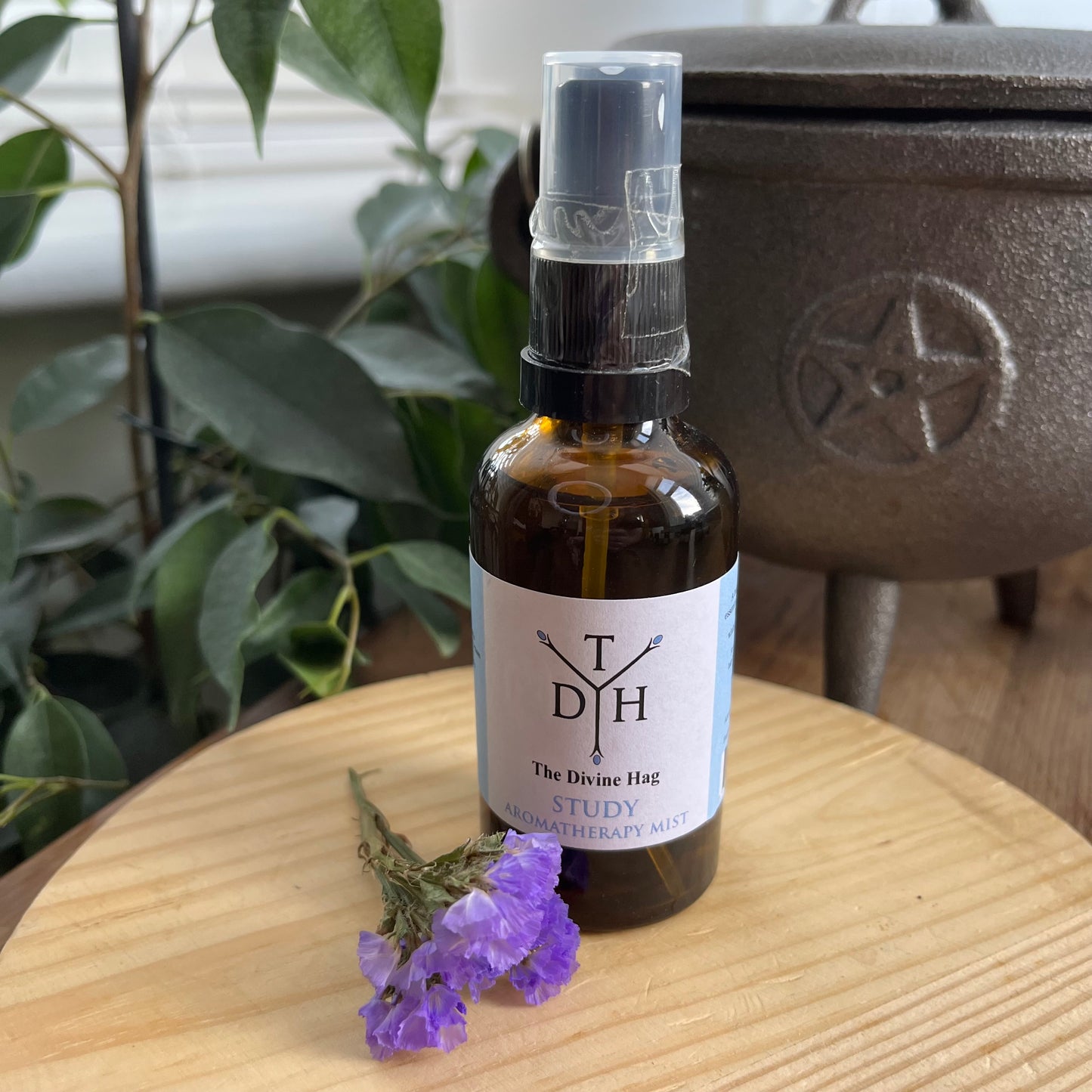 An essential oil Spray created by The Divine Hag to help wth focus and concentration while studying