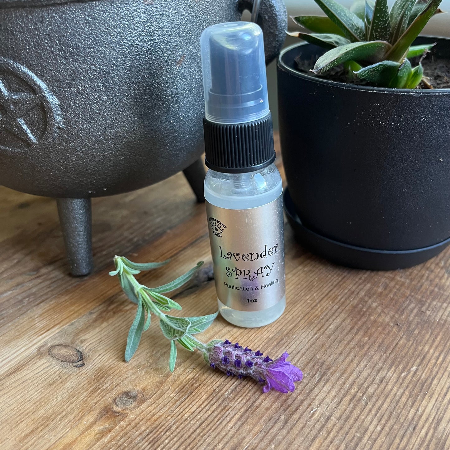 Lavender room spray in a clear glass spray bottle pictured with a sprig of Lavender
