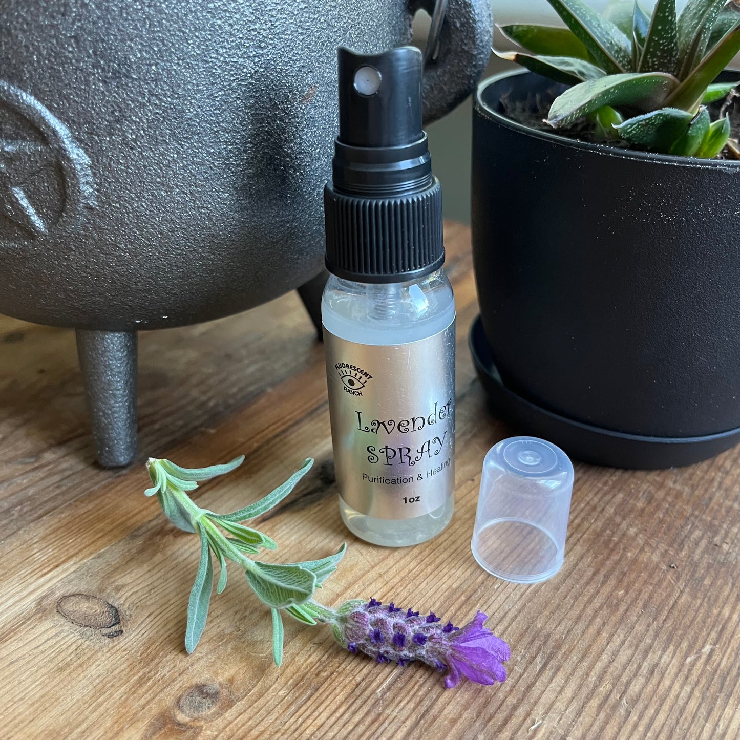 Lavender room spray in a clear glass spray bottle pictured with a sprig of Lavender