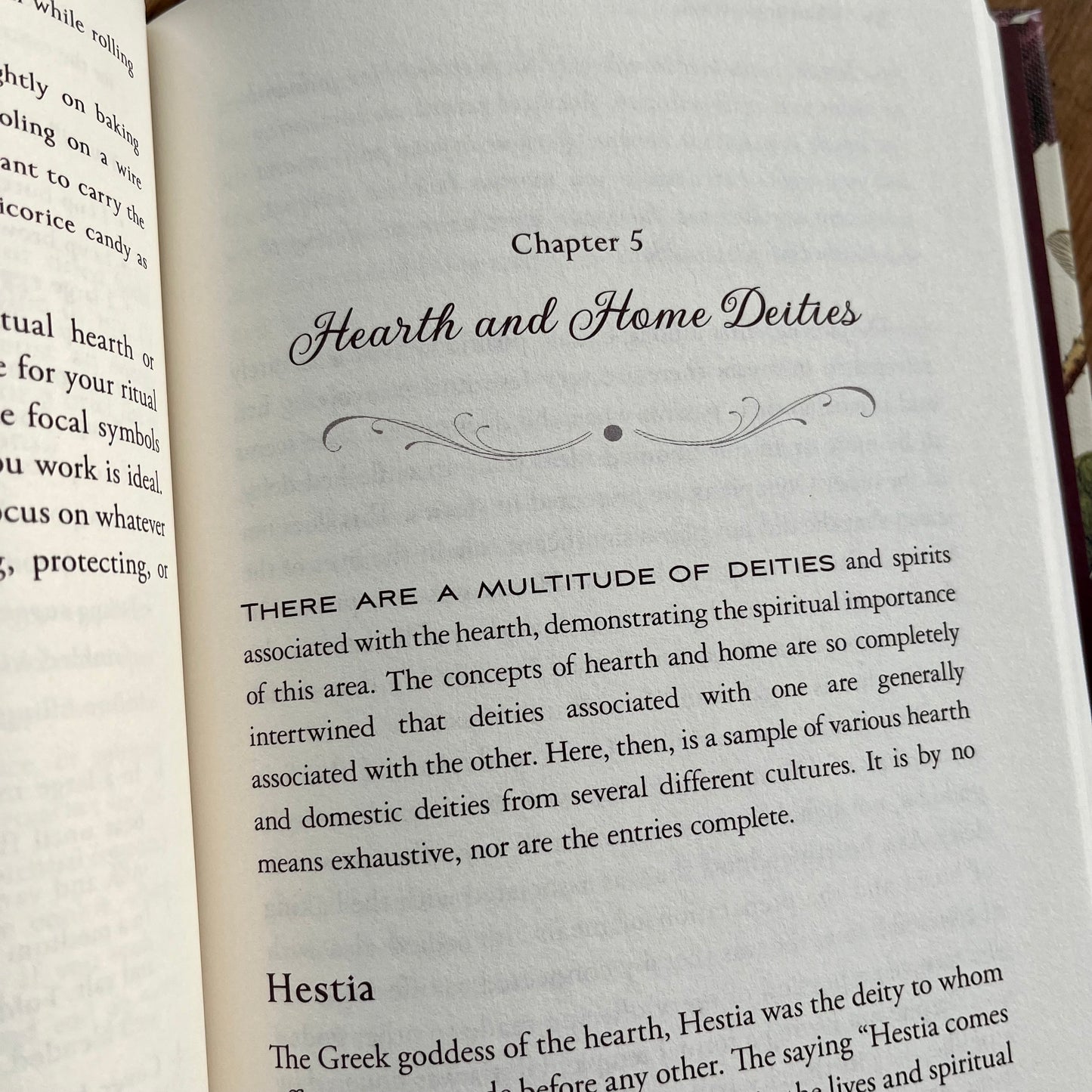 Peek inside The House Witch