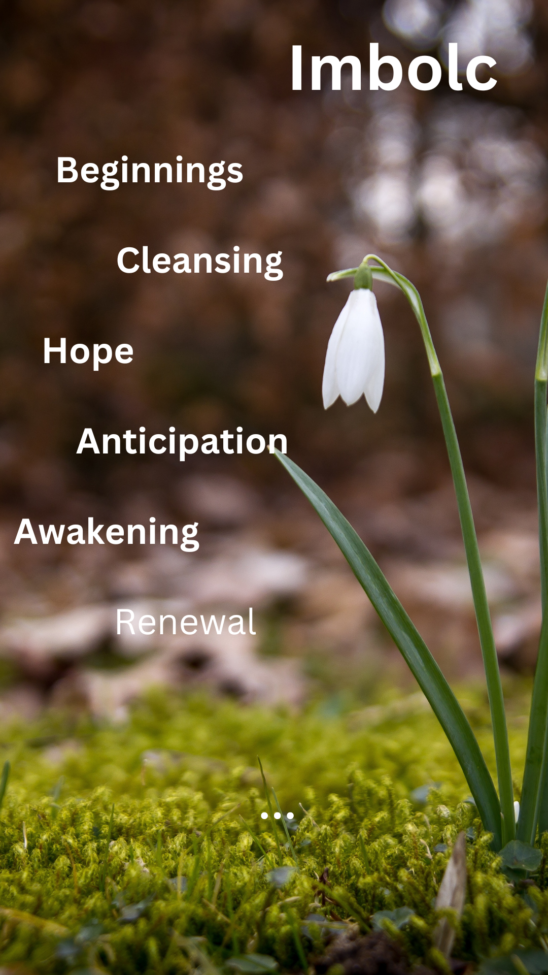 Imbolc