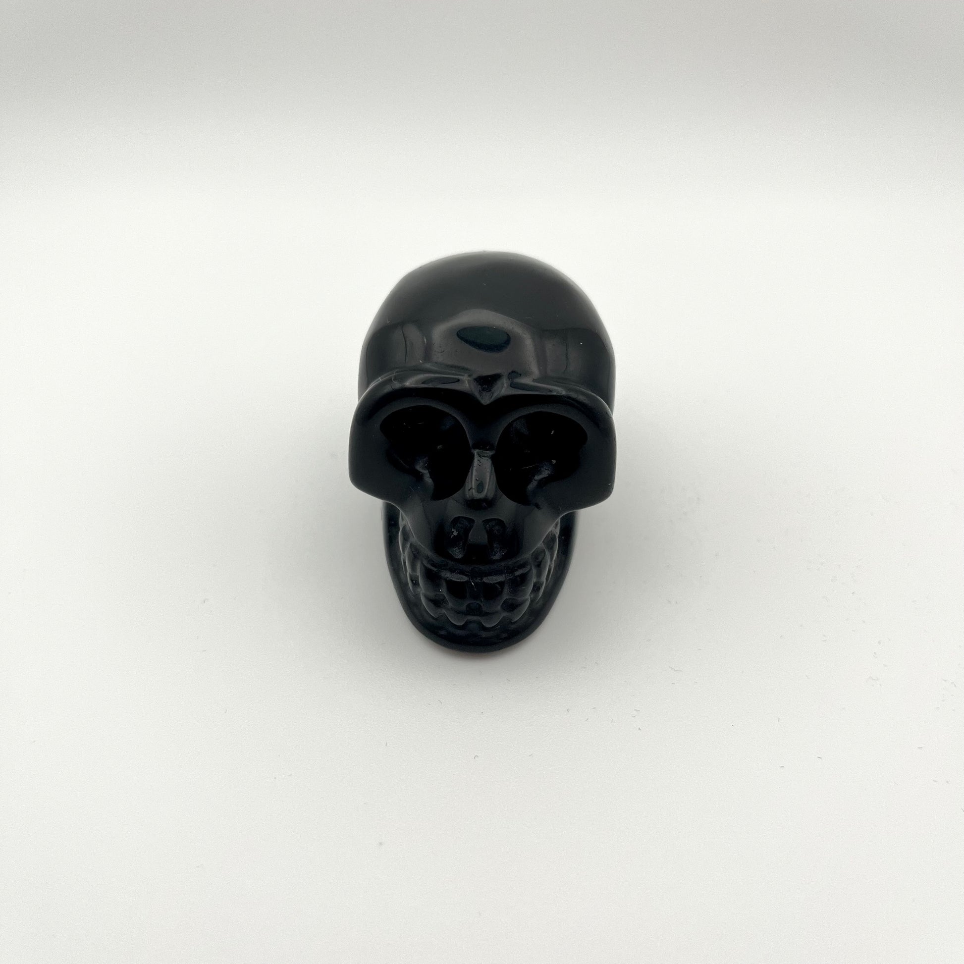 A glossy black skull-shaped crystal centered on a plain white studio background.