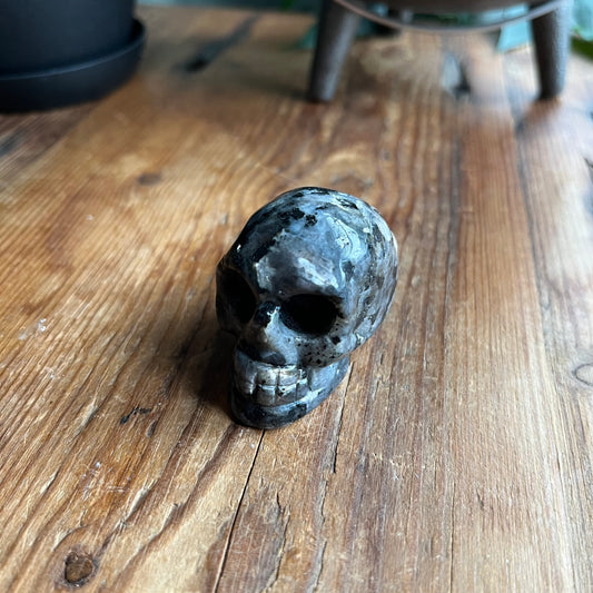 A small carved skull made from dark polished stone, possibly obsidian resting on a rustic wooden tabletop.