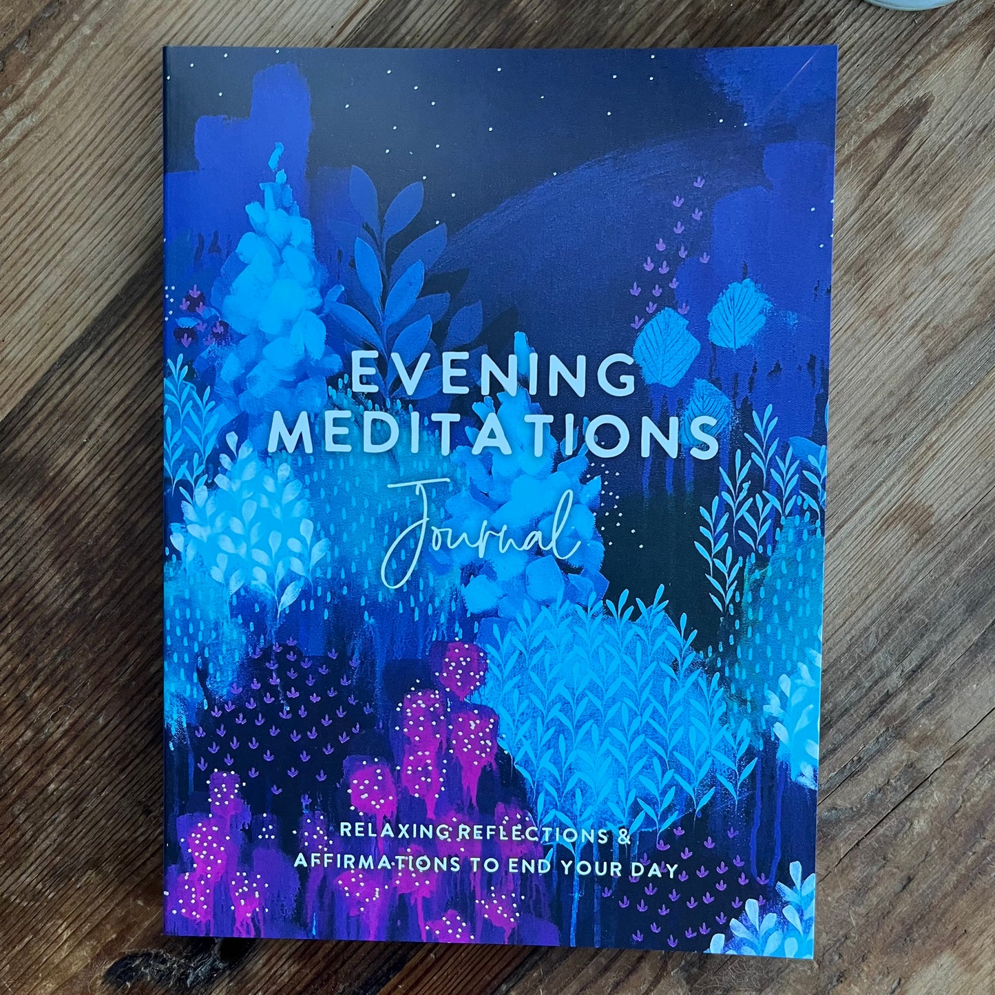 Evening Meditations Journal