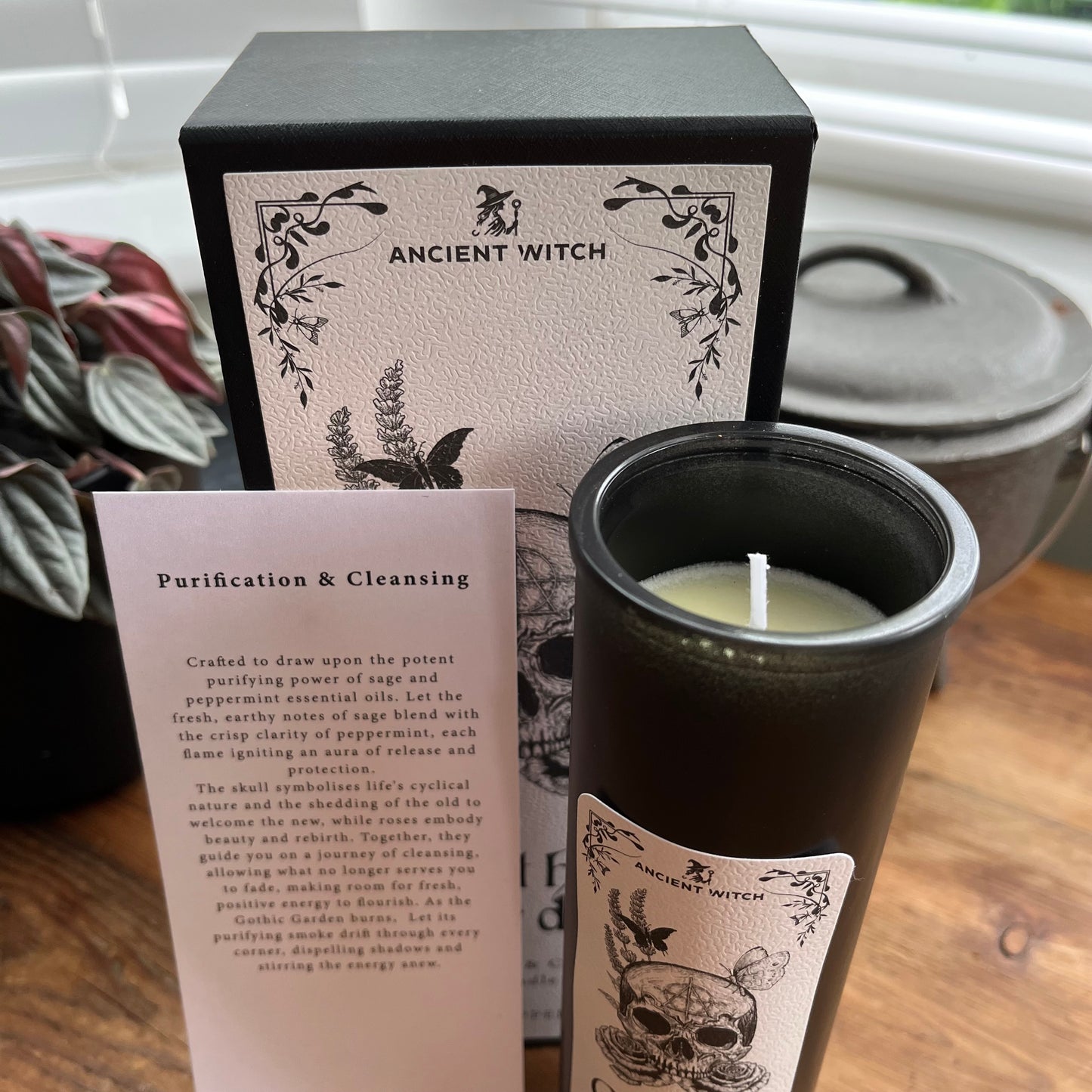 An Ancient Witch brand candle in a black glass jar with a cream label, shown next to its matching black and cream packaging box and an informational card on a wooden surface.