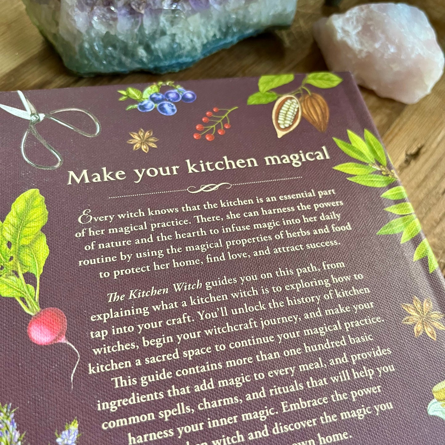 The Kitchen Witch by Skye Alexander