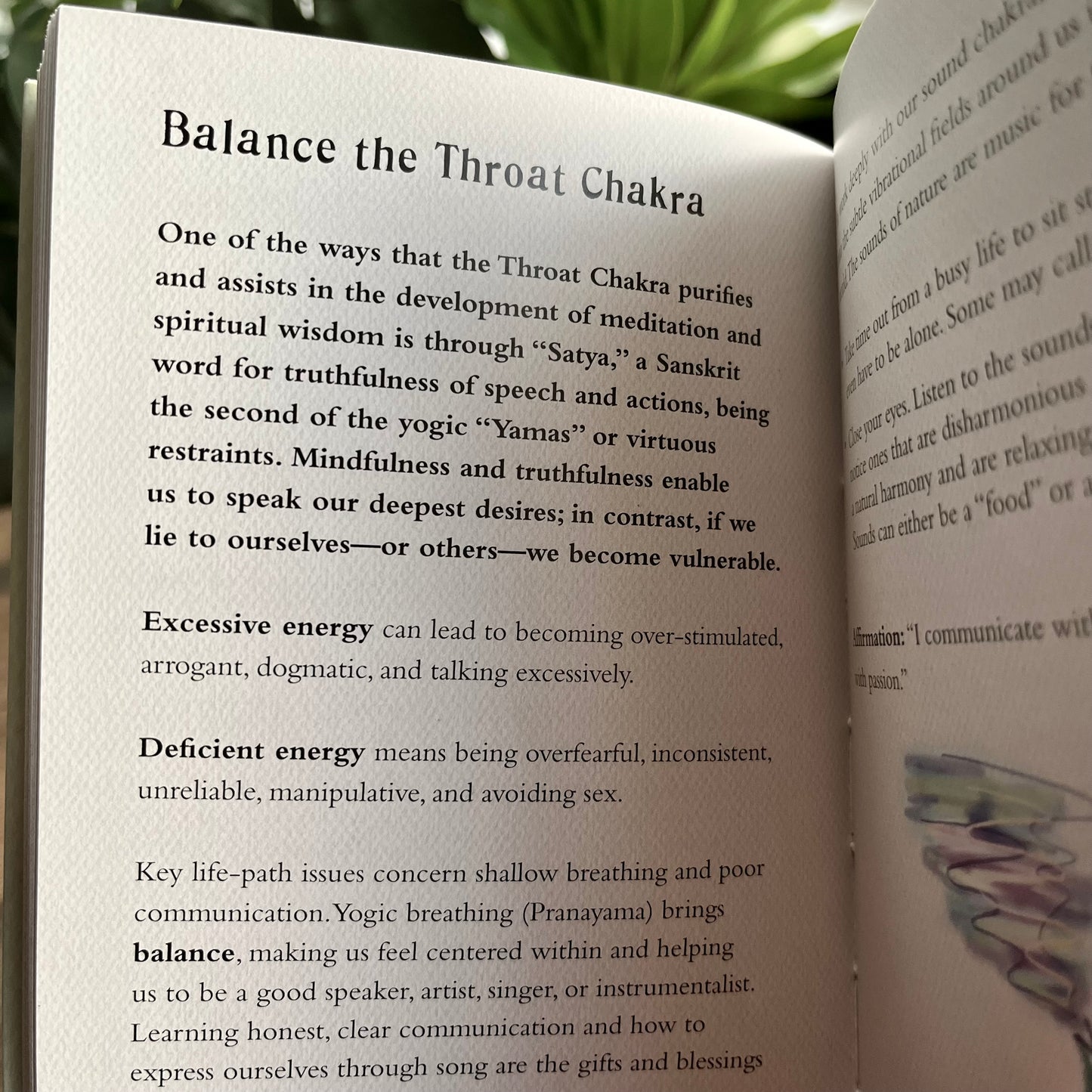 Little book of chakras