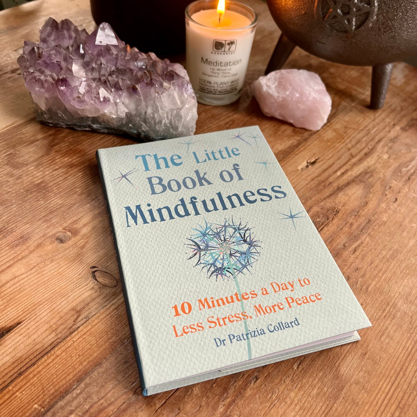 The Little Book of Mindfulness