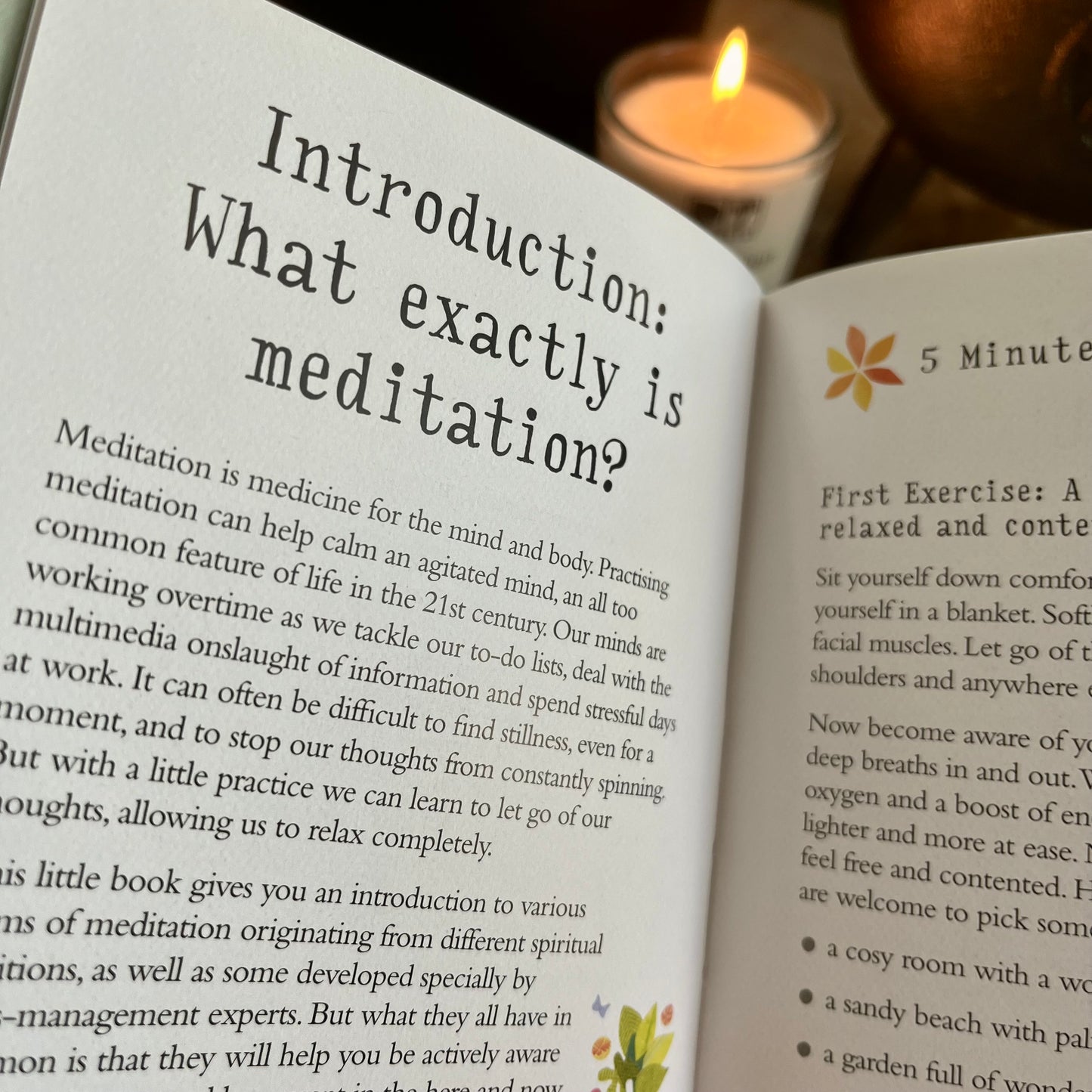 The Little Book of Meditation