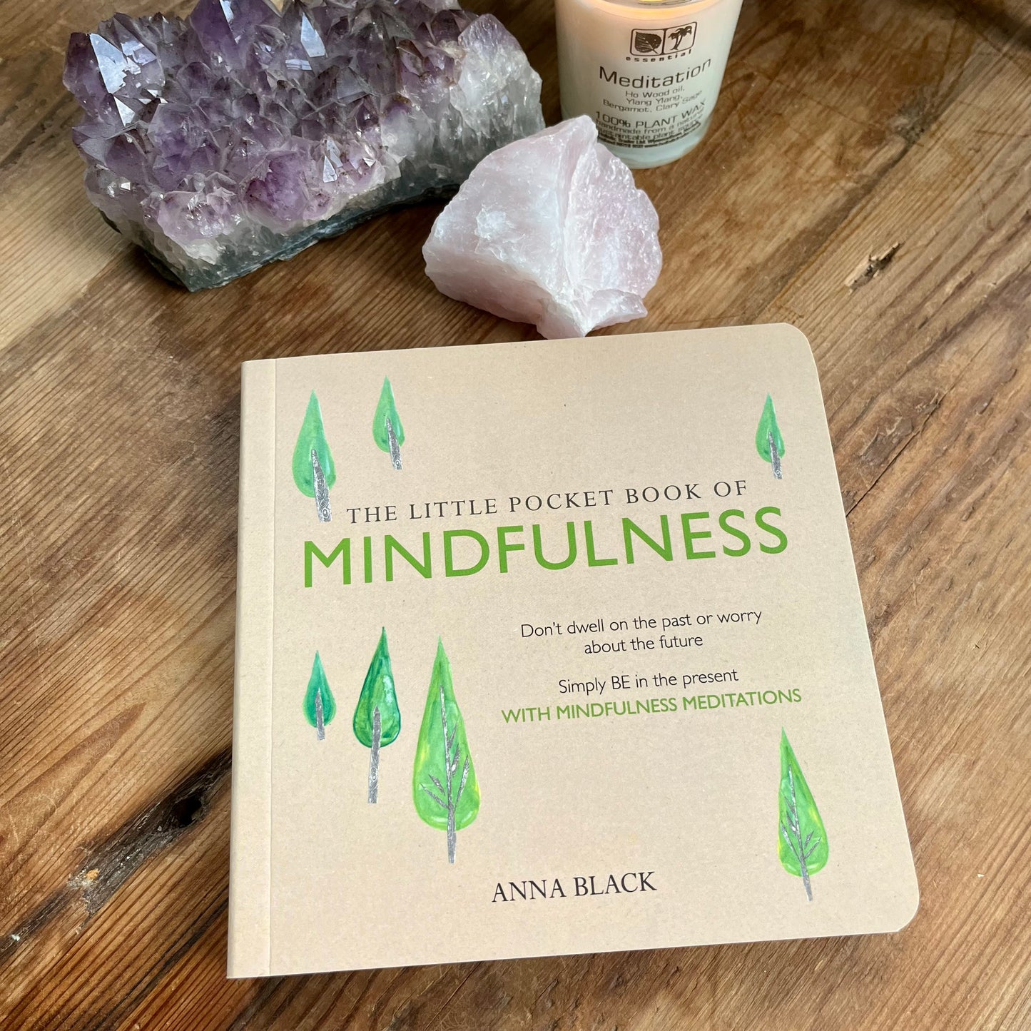 The Little Pocket Book of Mindfulness by Anna Black