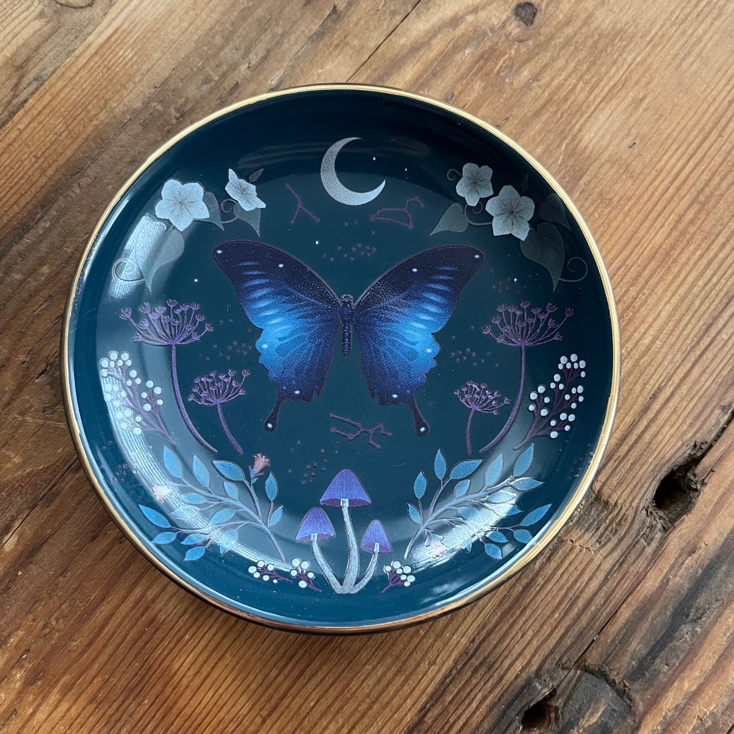 Round Midnight Moth Trinket Dish