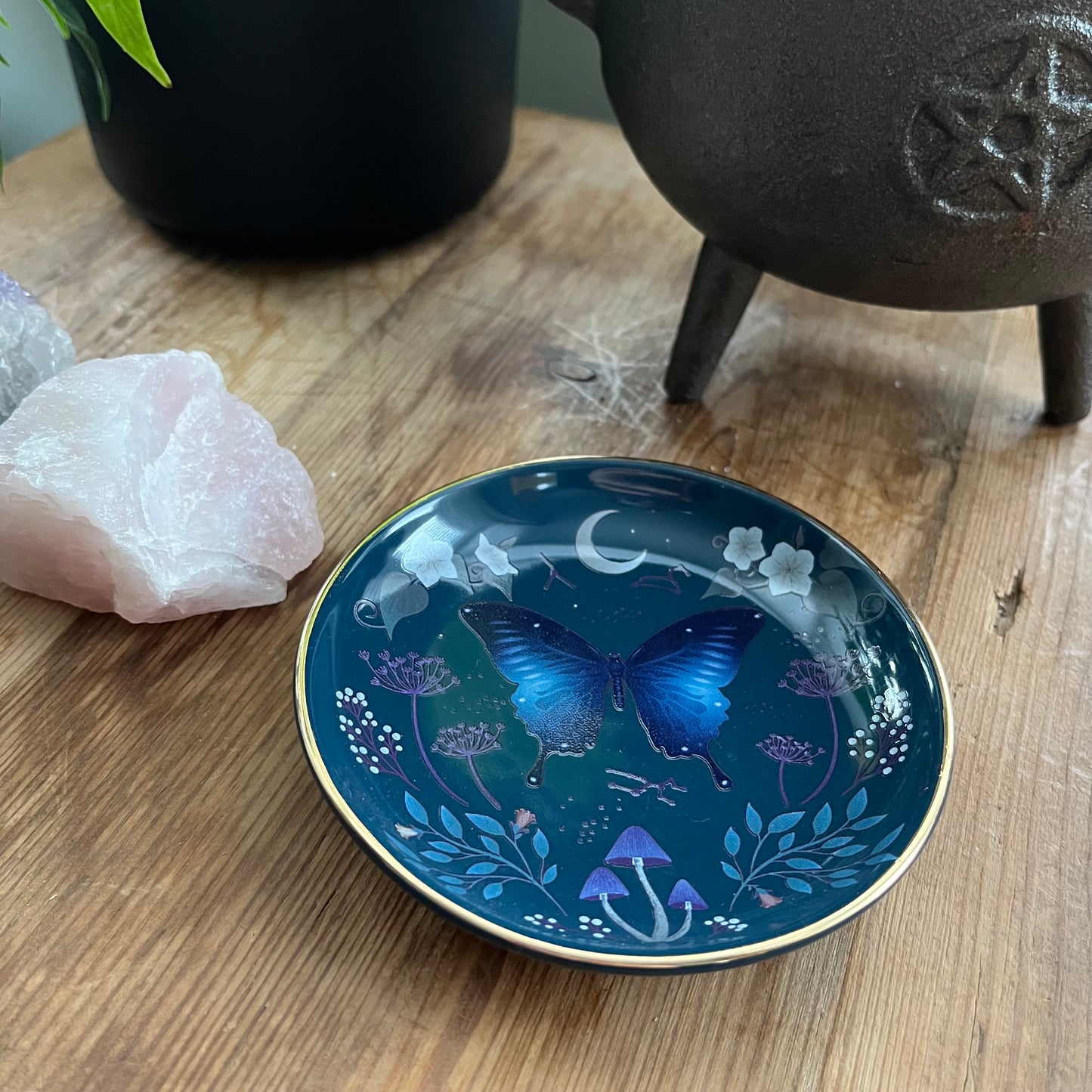 Round Midnight Moth Trinket Dish