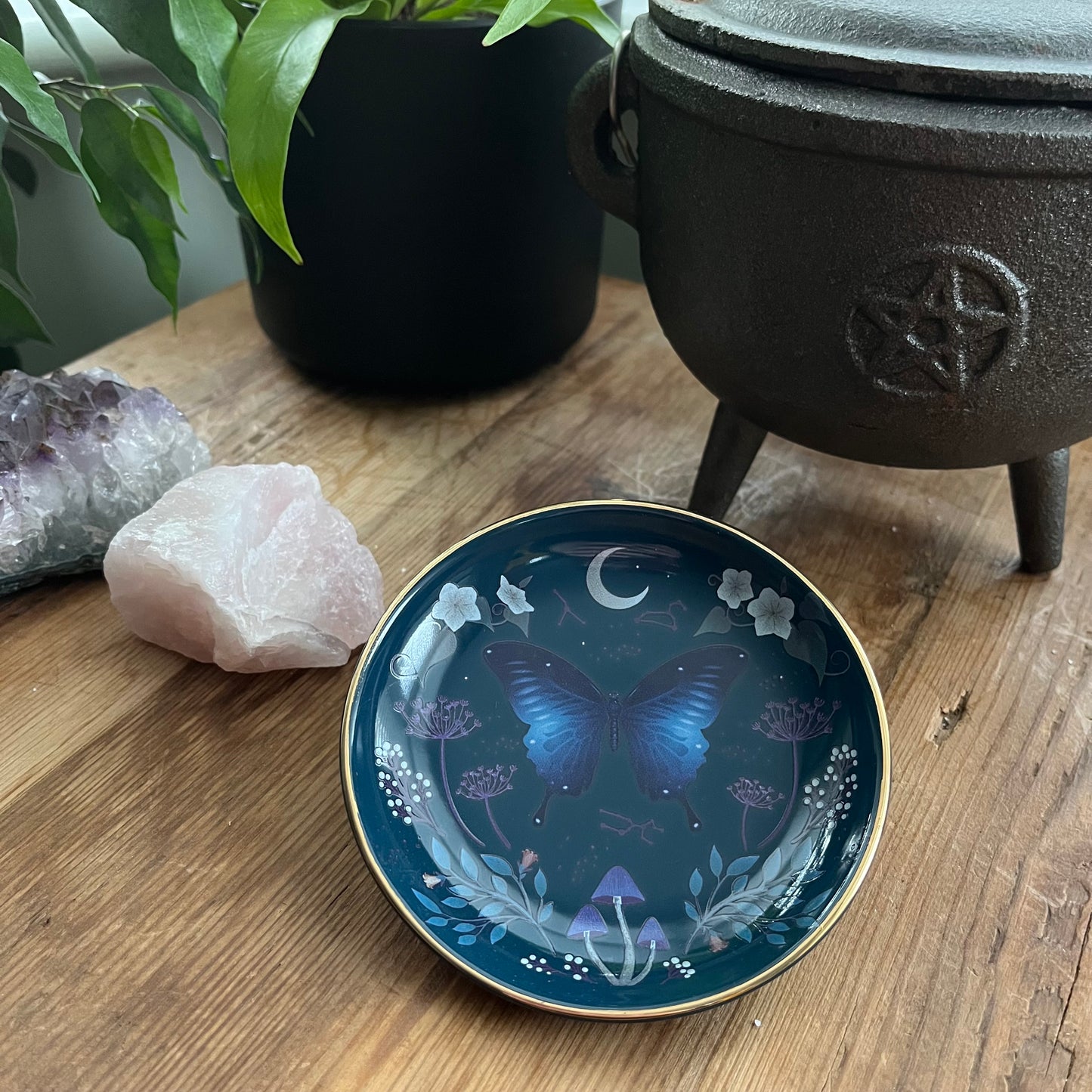 Round Midnight Moth Trinket Dish