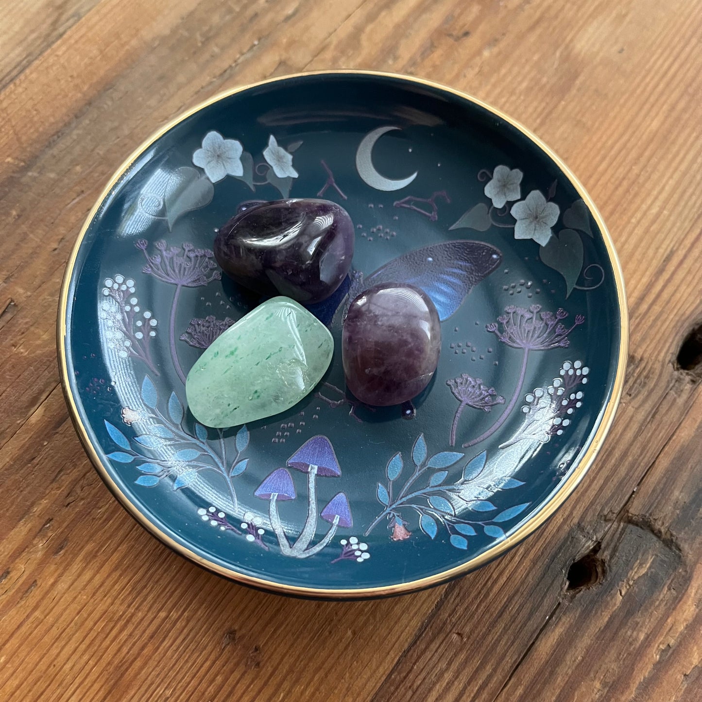 Round Midnight Moth Trinket Dish