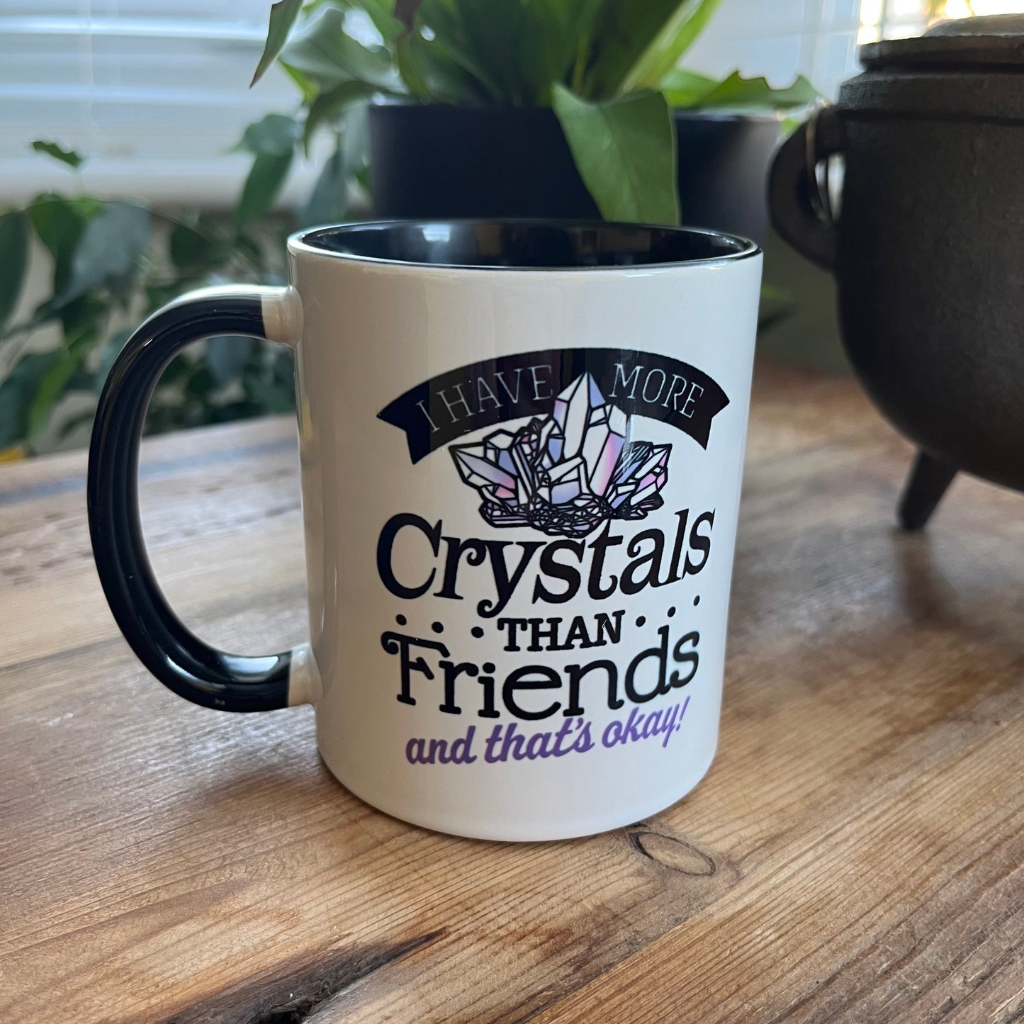 Mug with text 'I have more crystals than friends and that's okay!' on a wooden surface with plants in the background.