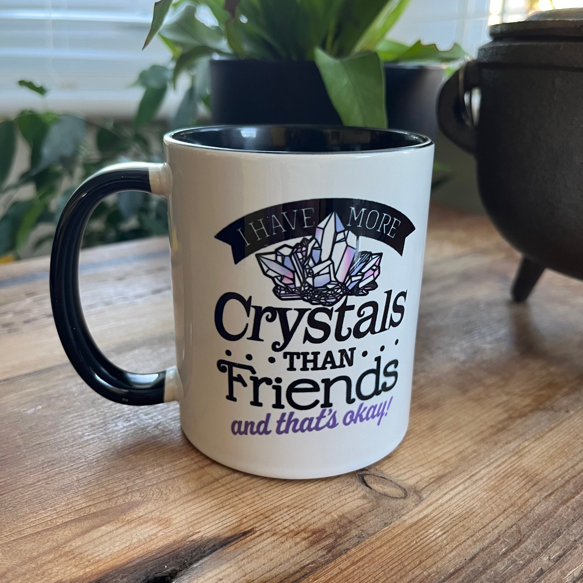 Mug with text 'I have more crystals than friends and that's okay!' on a wooden surface with plants in the background.