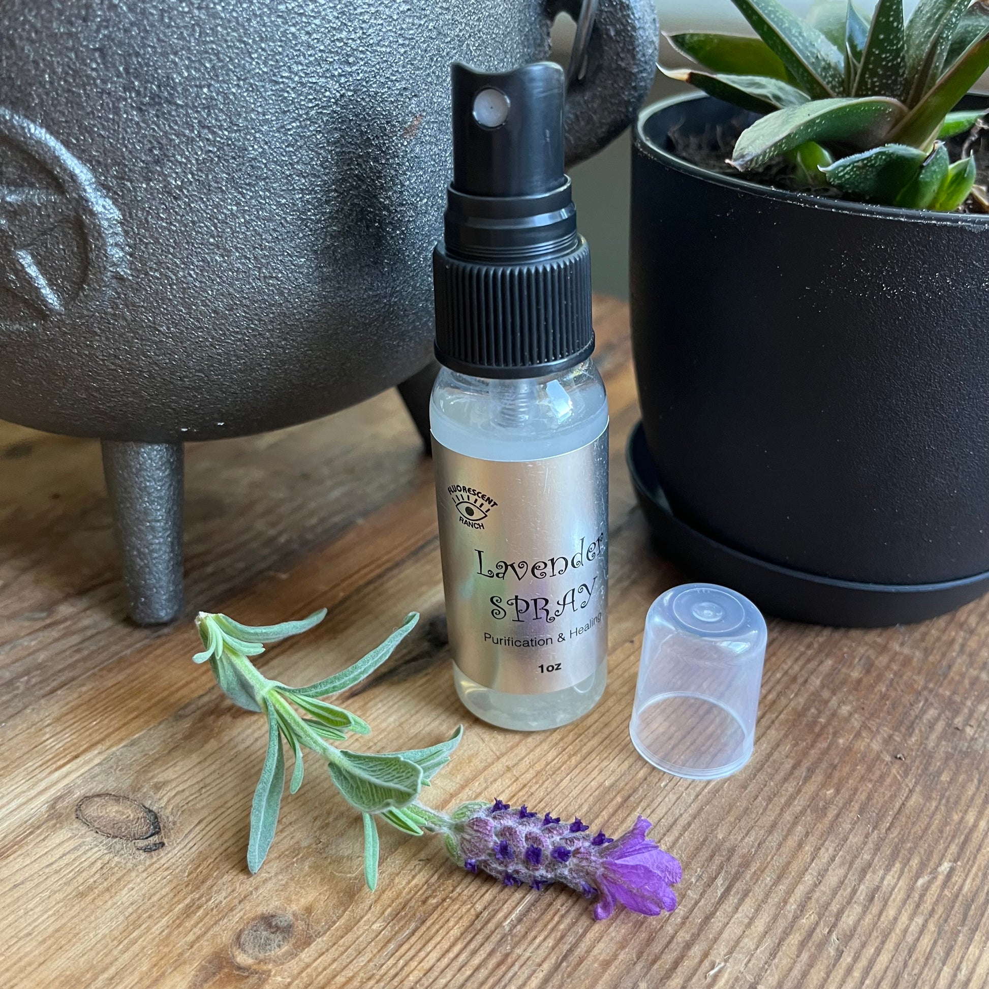 Lavender room spray in a clear glass spray bottle pictured with a sprig of Lavender 