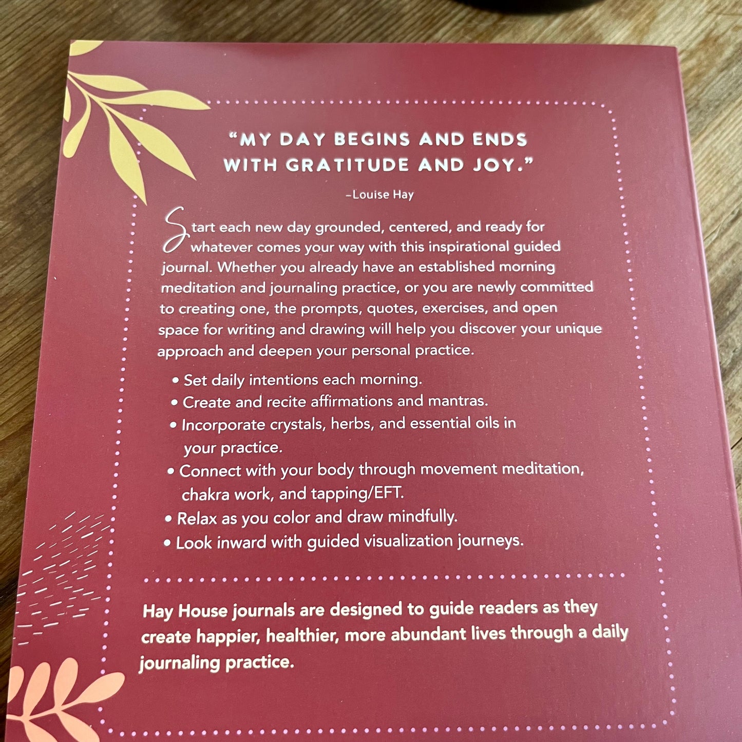 Blurb on the back cover of Morning Meditations Journal 