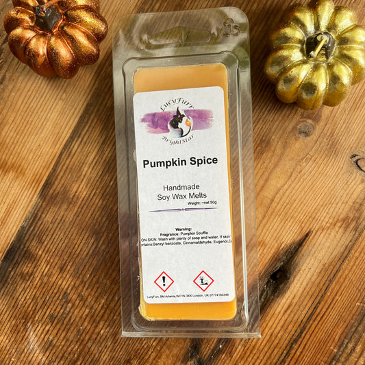 Pack of Pumpkin Spice soy wax melts on a wooden surface with decorative pumpkins.