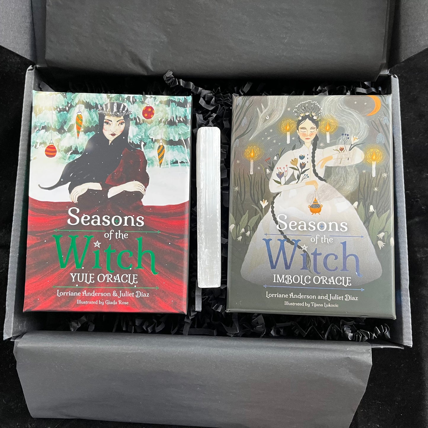 Two books titled 'Seasons of the Witch' in a box with illustrations of witches on the covers.