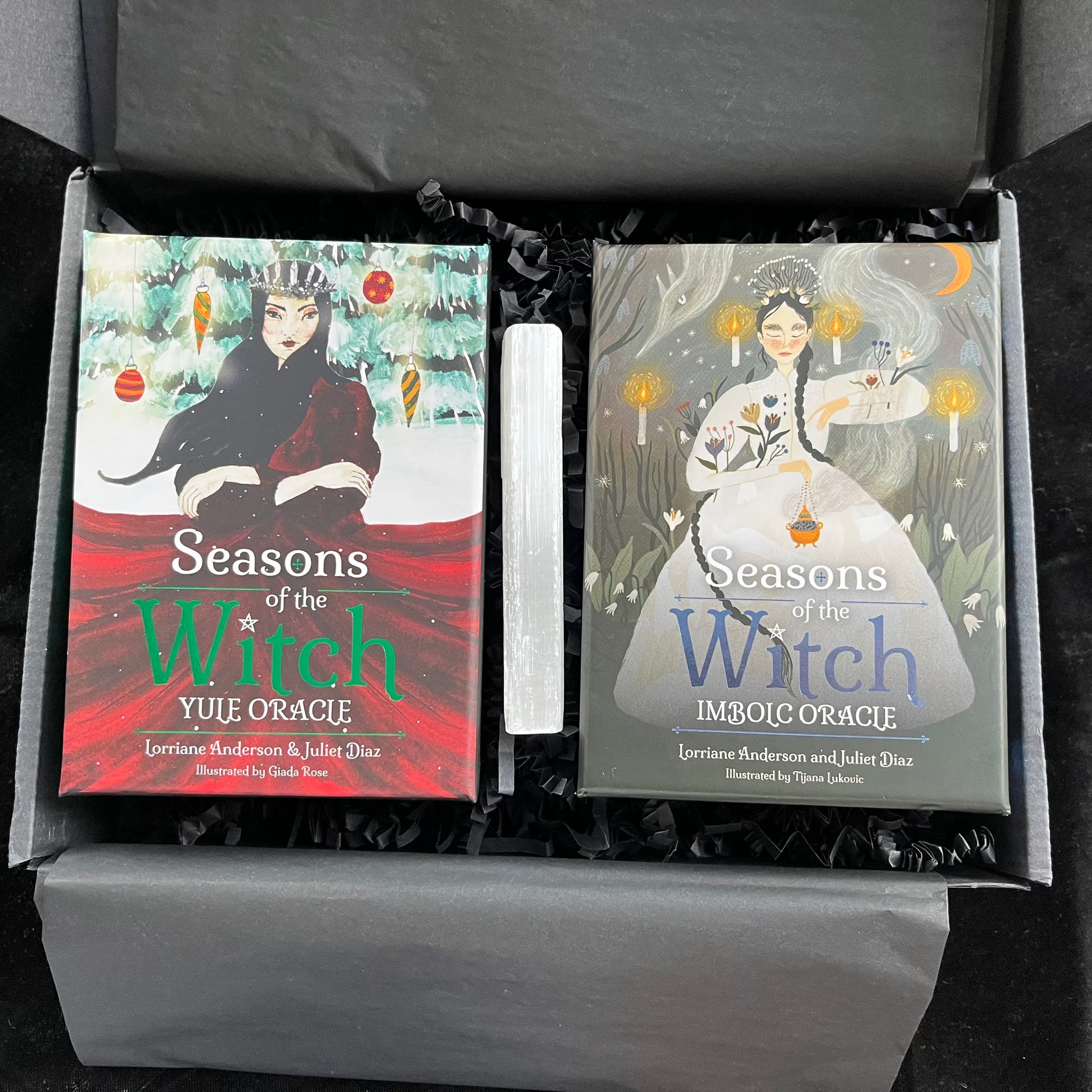 Two books titled 'Seasons of the Witch' in a box with illustrations of witches on the covers.