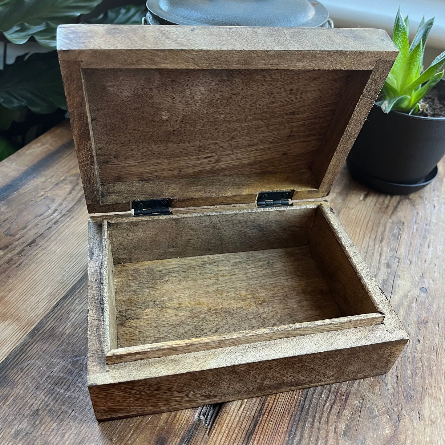 Wooden box on a wooden surface with plants in the background