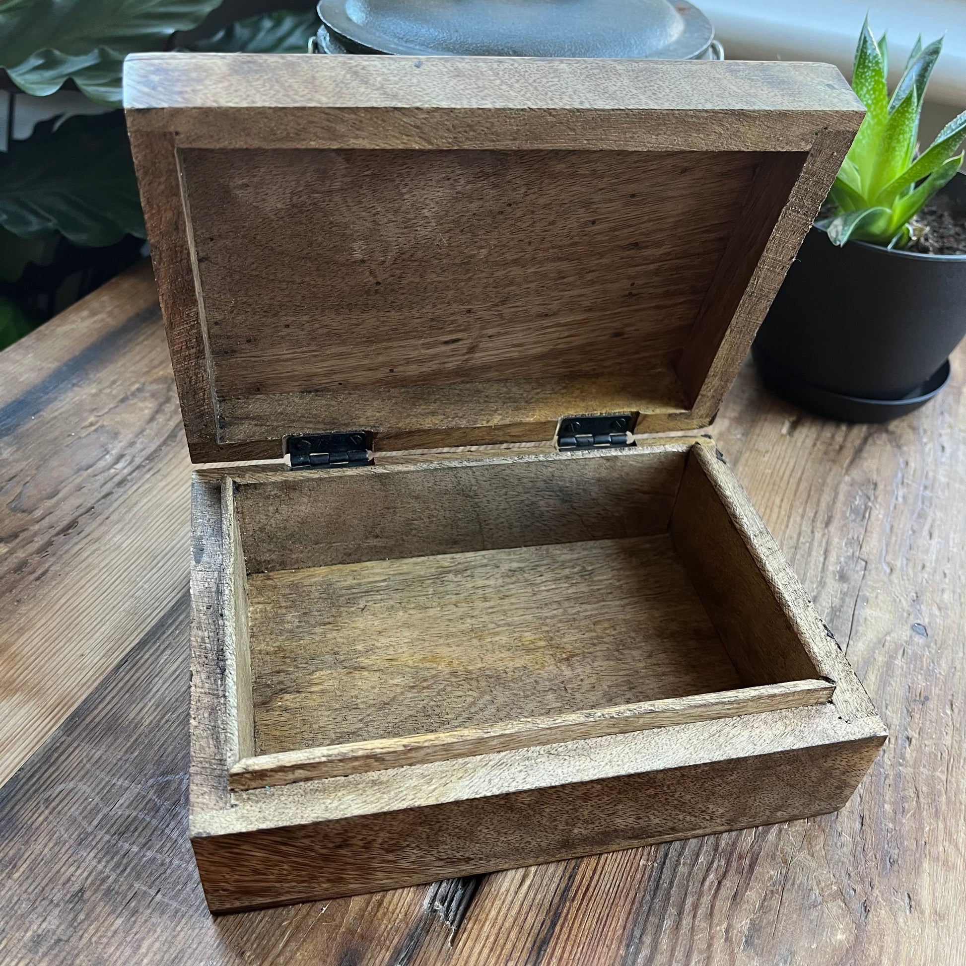 Wooden box on a wooden surface with plants in the background
