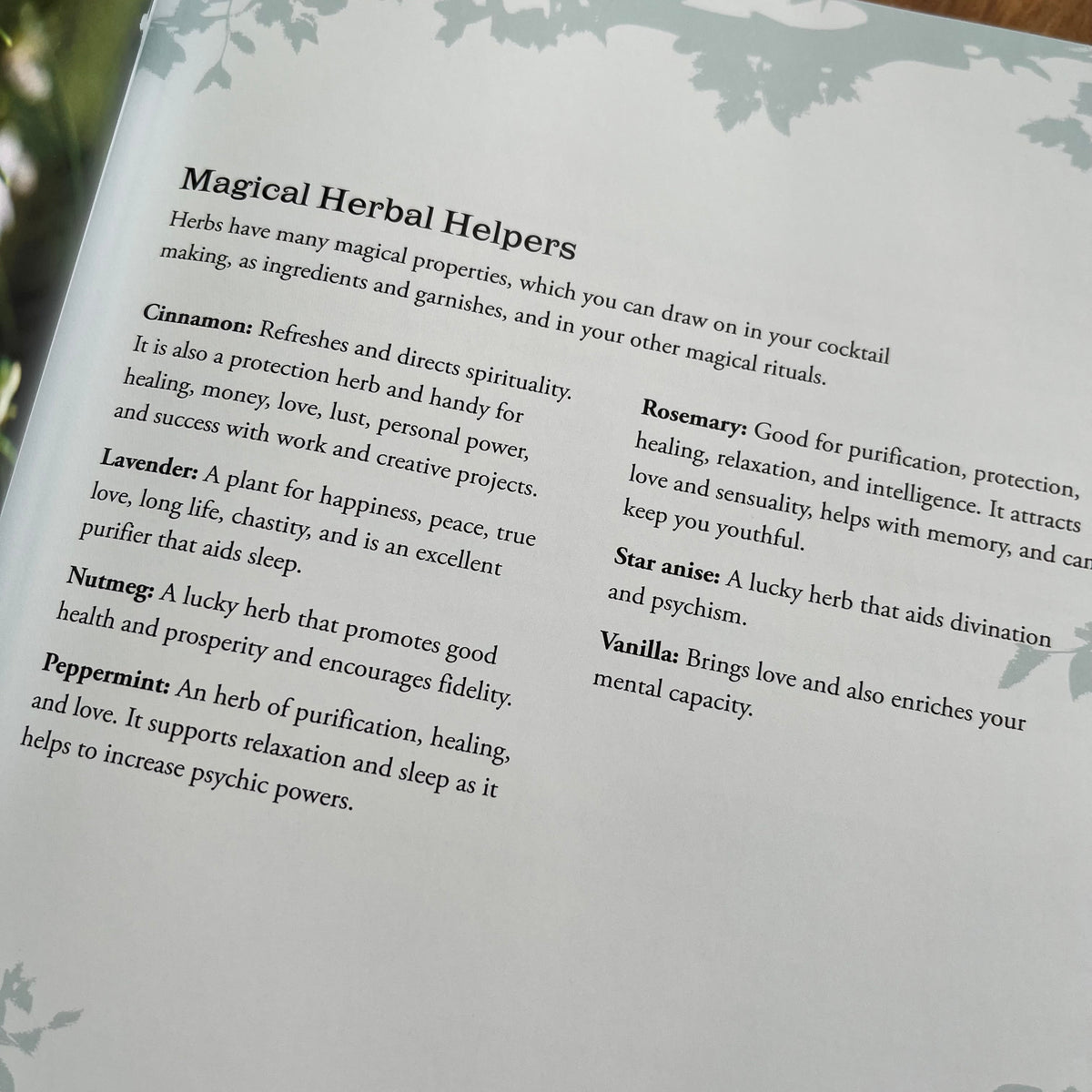 A printed page titled 'Magical Herbal Helpers' with text listing properties of cinnamon, lavender, nutmeg, peppermint, rosemary, star anise, and vanilla, photographed on a light surface with blurred greenery in the background.