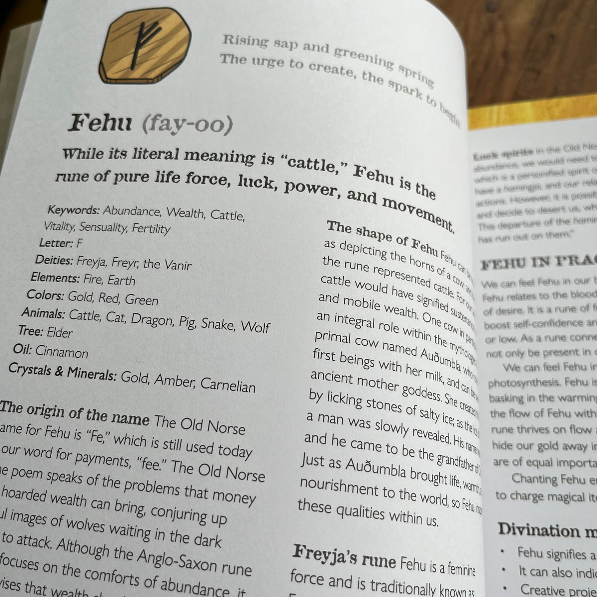 A close-up of an open book or booklet showing printed text about the Norse rune Fehu, with a small gold symbol in the upper left and columns of explanatory content on both pages.